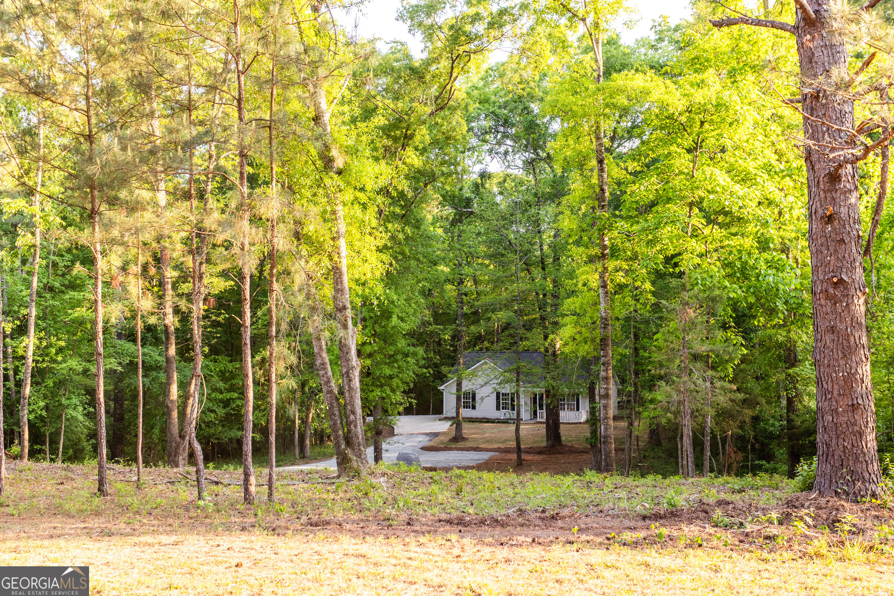 2443 Hodges Farm Road Mansfield, GA 30055 - Photo 5 of 37