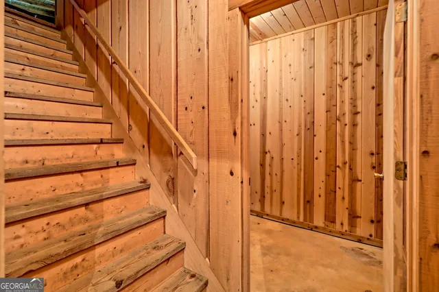 a view of a yard with plants and trees