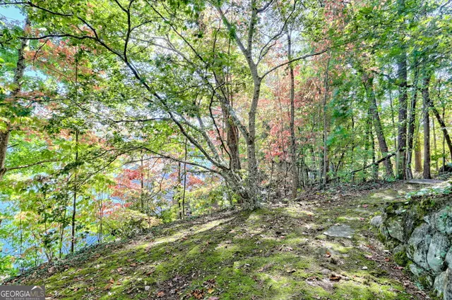 $2,395,000 | 66 Andrews Lane, Clayton, GA 30525