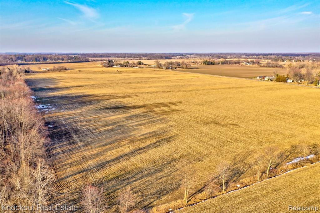 10665 Dehmel Road Birch Run, MI 48415 - Photo 37 of 41