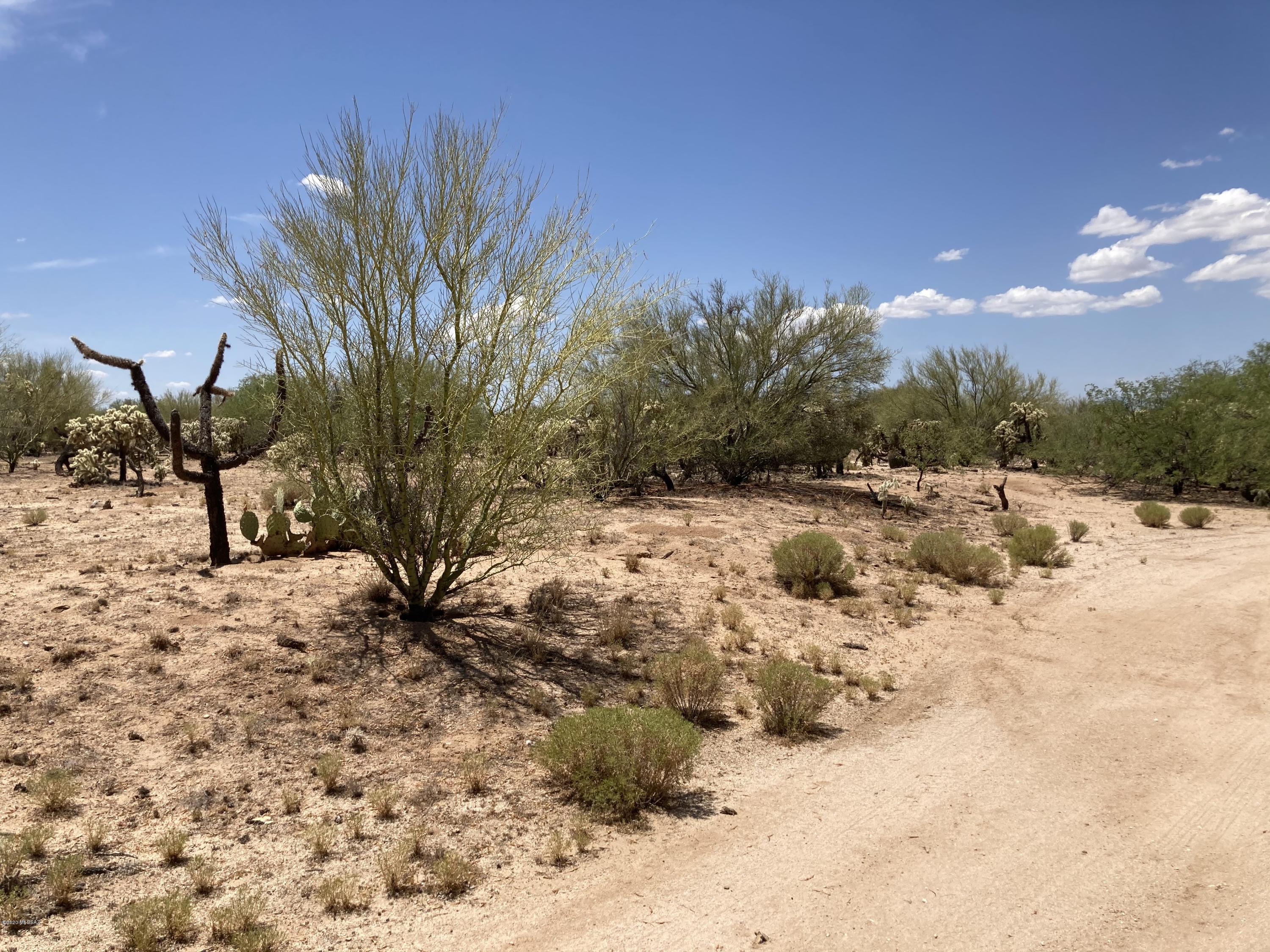 15091 West Many Horses Road, Unit 208 Tucson, AZ 85736 - Photo 3 of 3