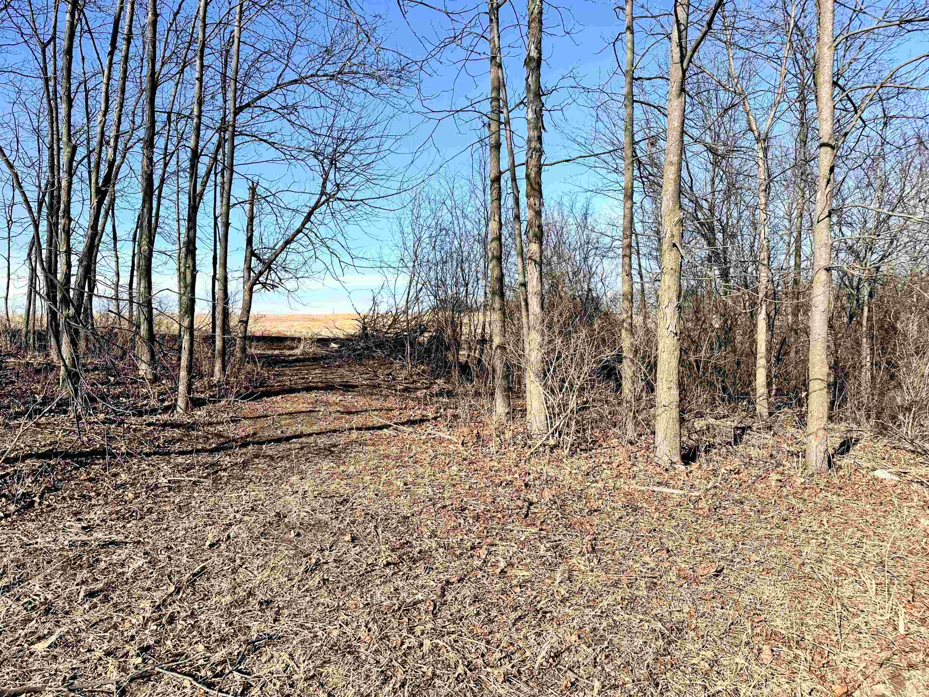 1.29-acre Klein Brewery Road McGregor, IA 52157 - Photo 4 of 10