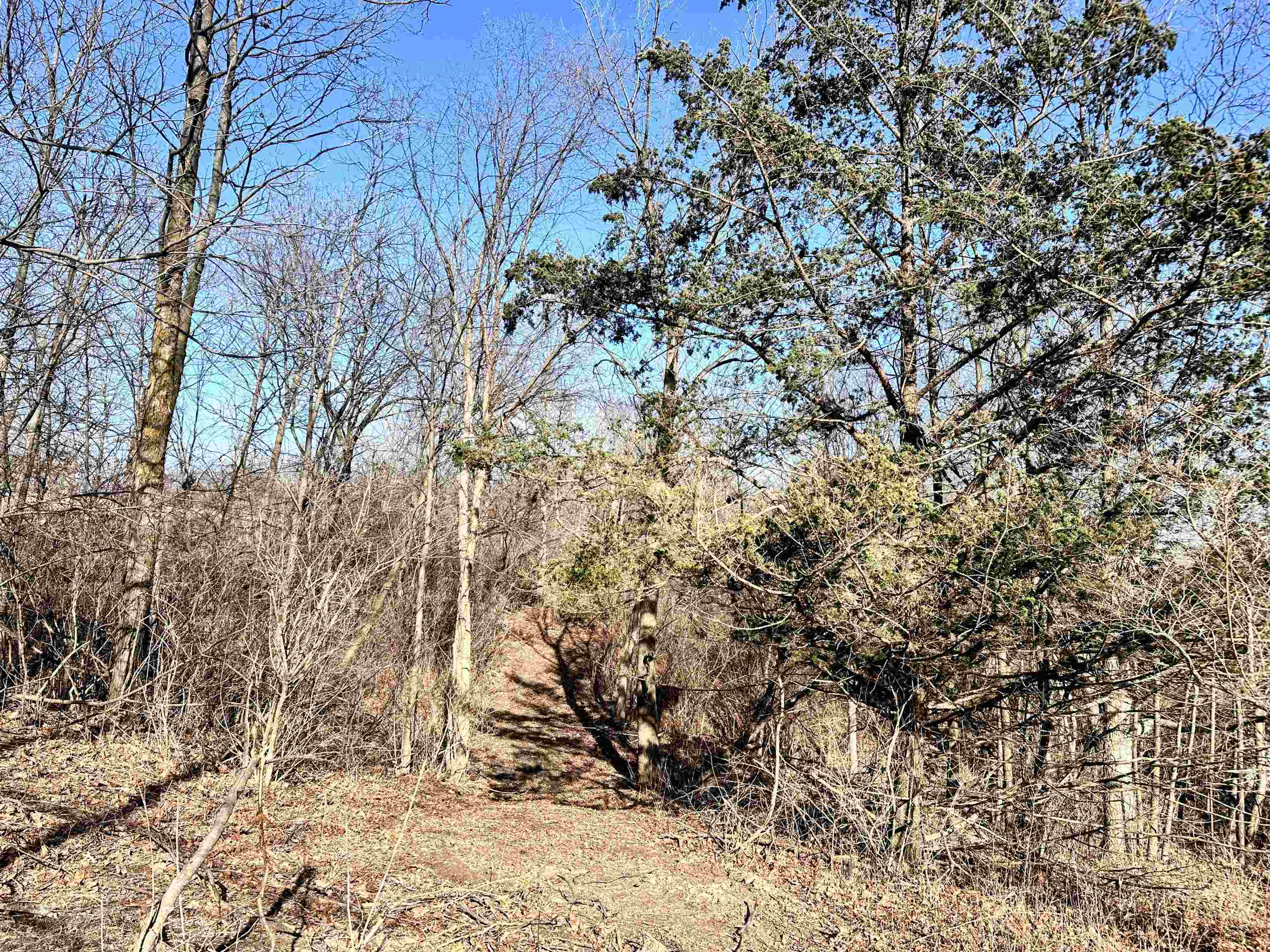 1.29-acre Klein Brewery Road McGregor, IA 52157 - Photo 5 of 10