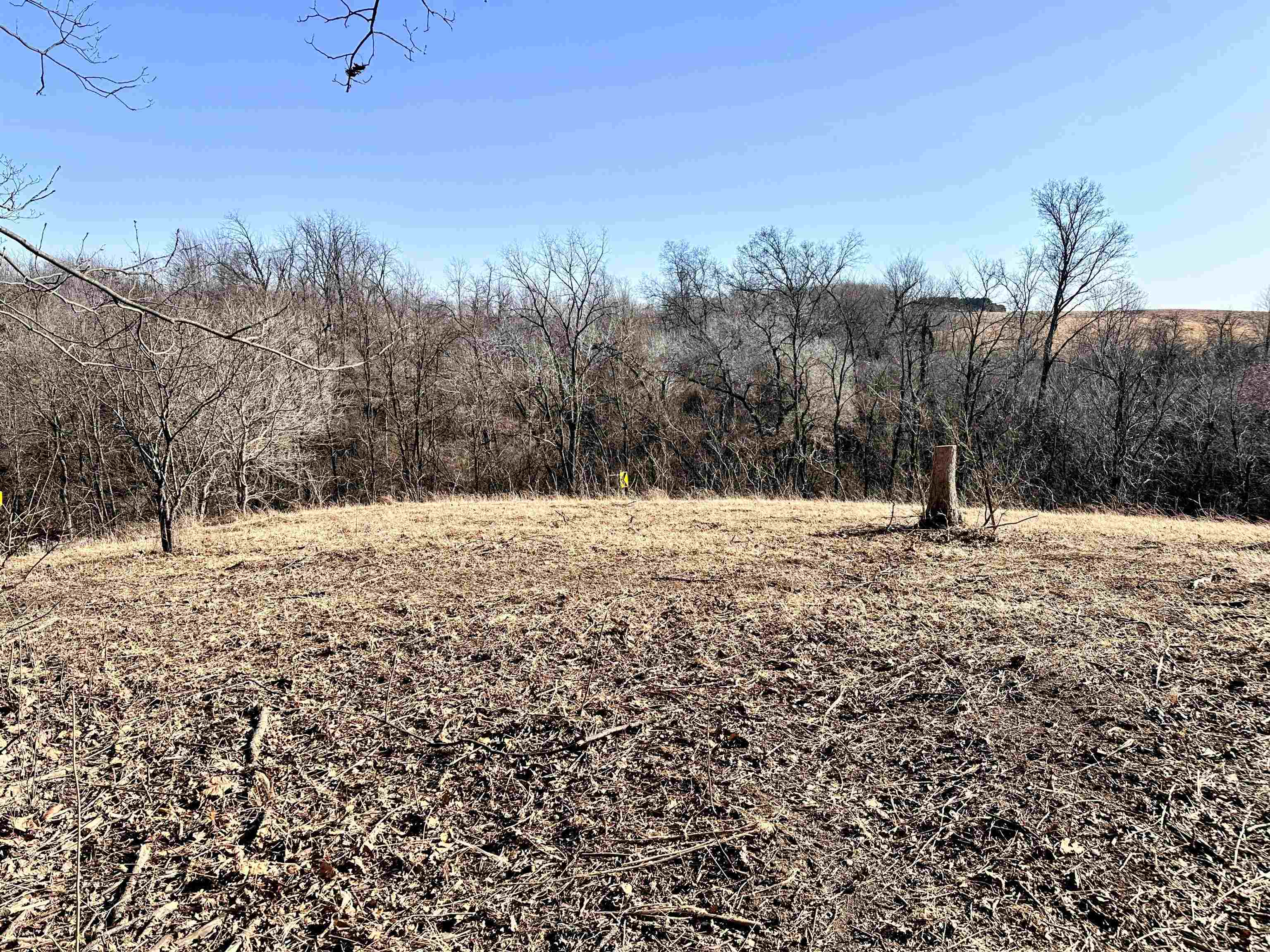 1.29-acre Klein Brewery Road McGregor, IA 52157 - Photo 7 of 10