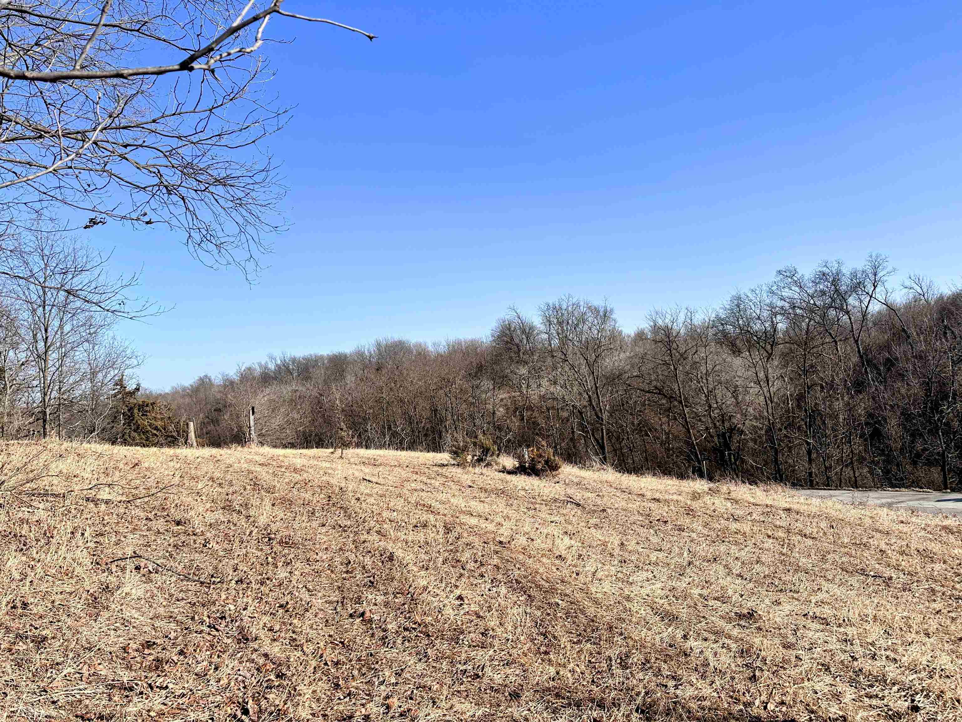 1.29-acre Klein Brewery Road McGregor, IA 52157 - Photo 8 of 10