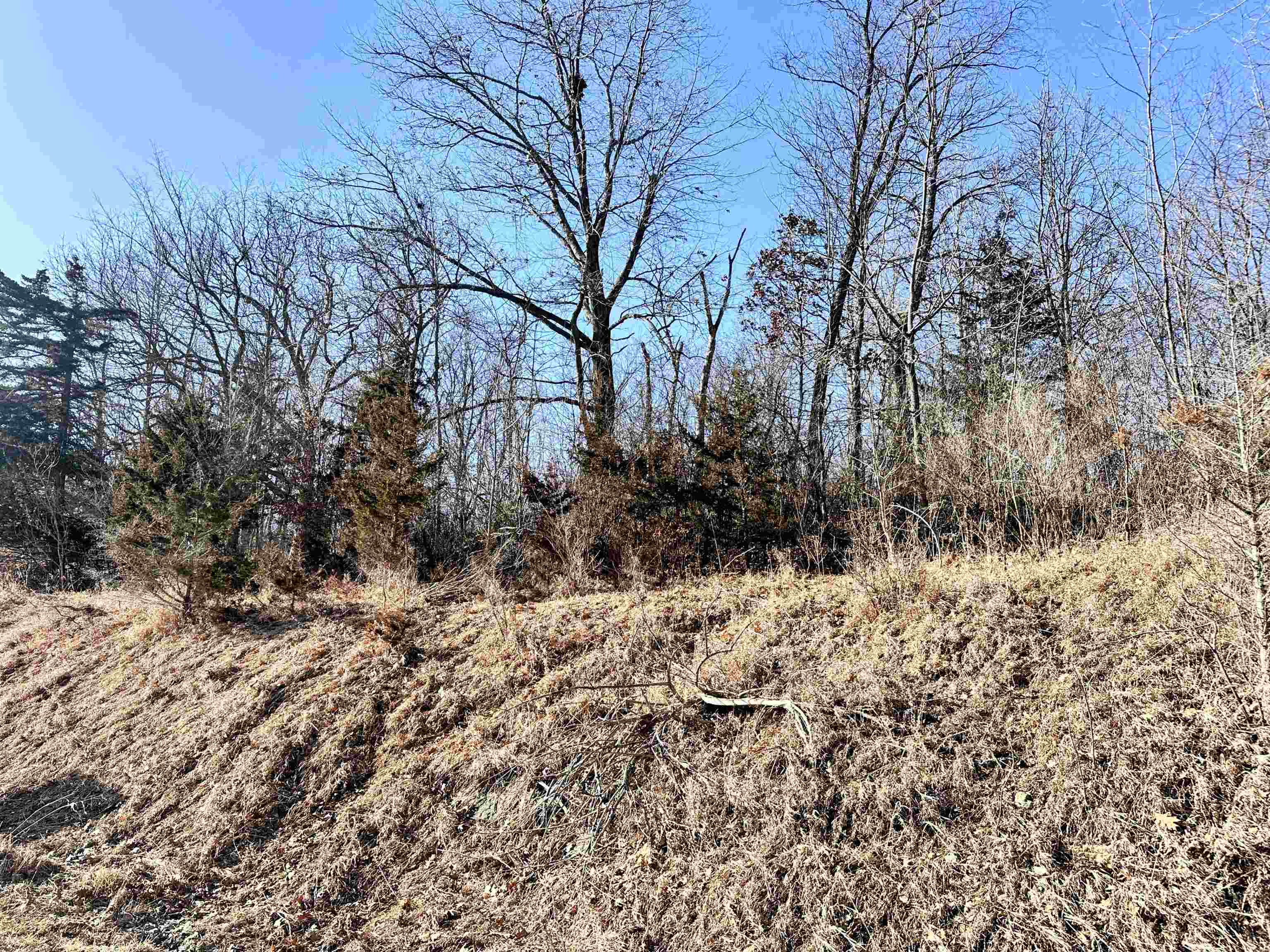 1.29-acre Klein Brewery Road McGregor, IA 52157 - Photo 9 of 10