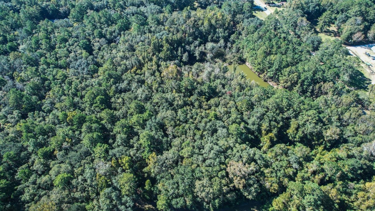 0 Crump Road Tallahassee, FL 32309 - Photo 11 of 30