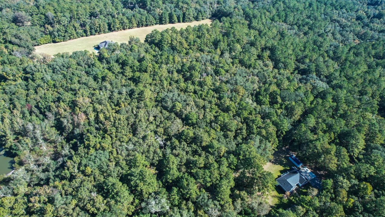 0 Crump Road Tallahassee, FL 32309 - Photo 16 of 30