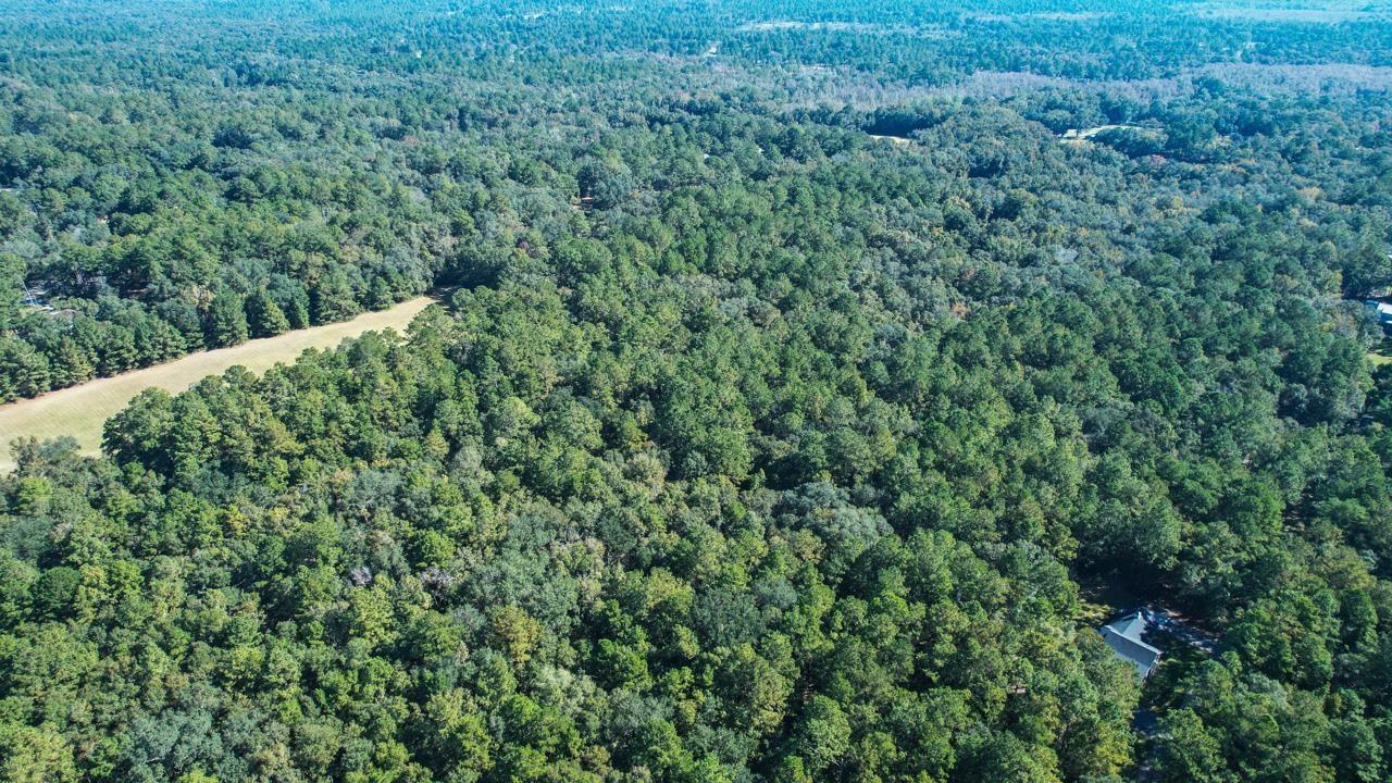 0 Crump Road Tallahassee, FL 32309 - Photo 17 of 30