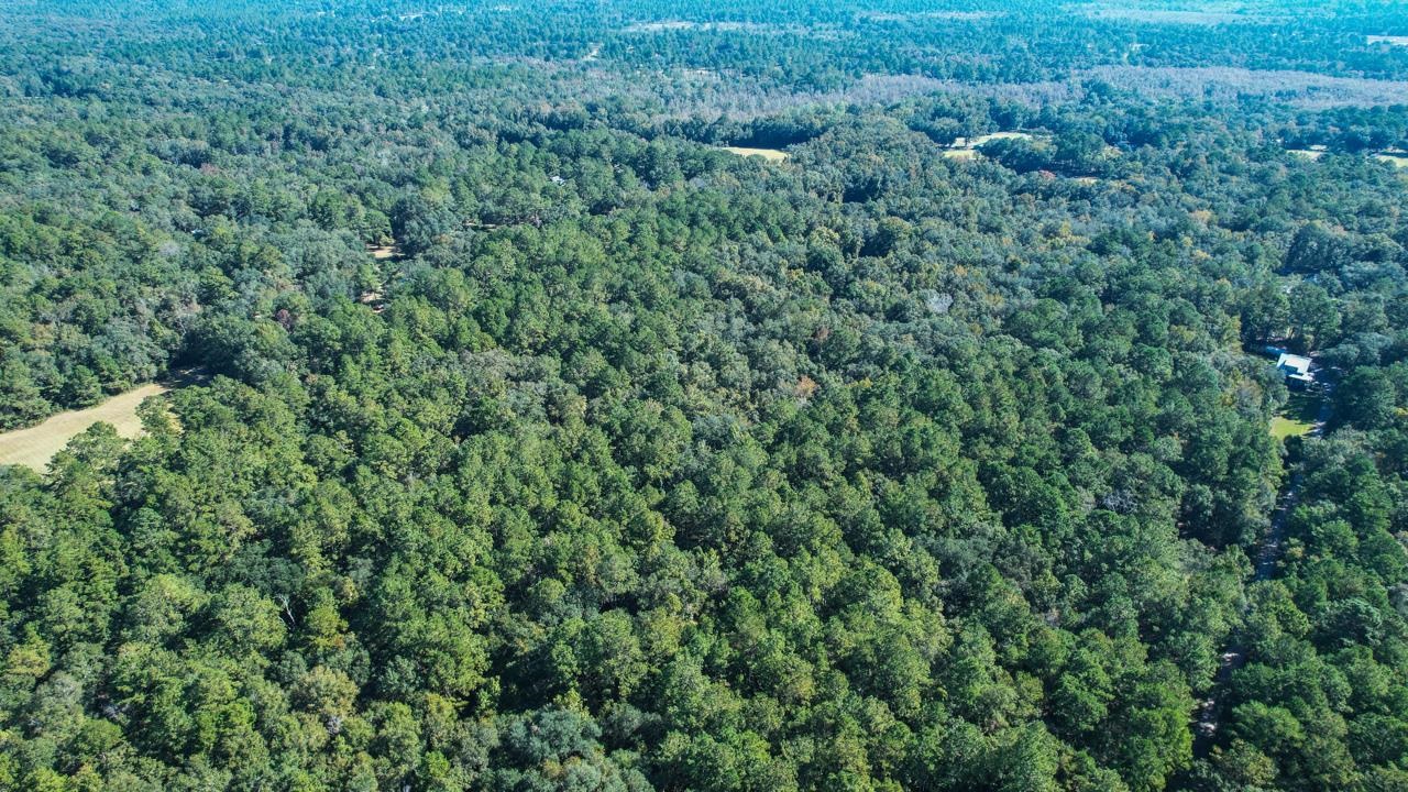 0 Crump Road Tallahassee, FL 32309 - Photo 18 of 30