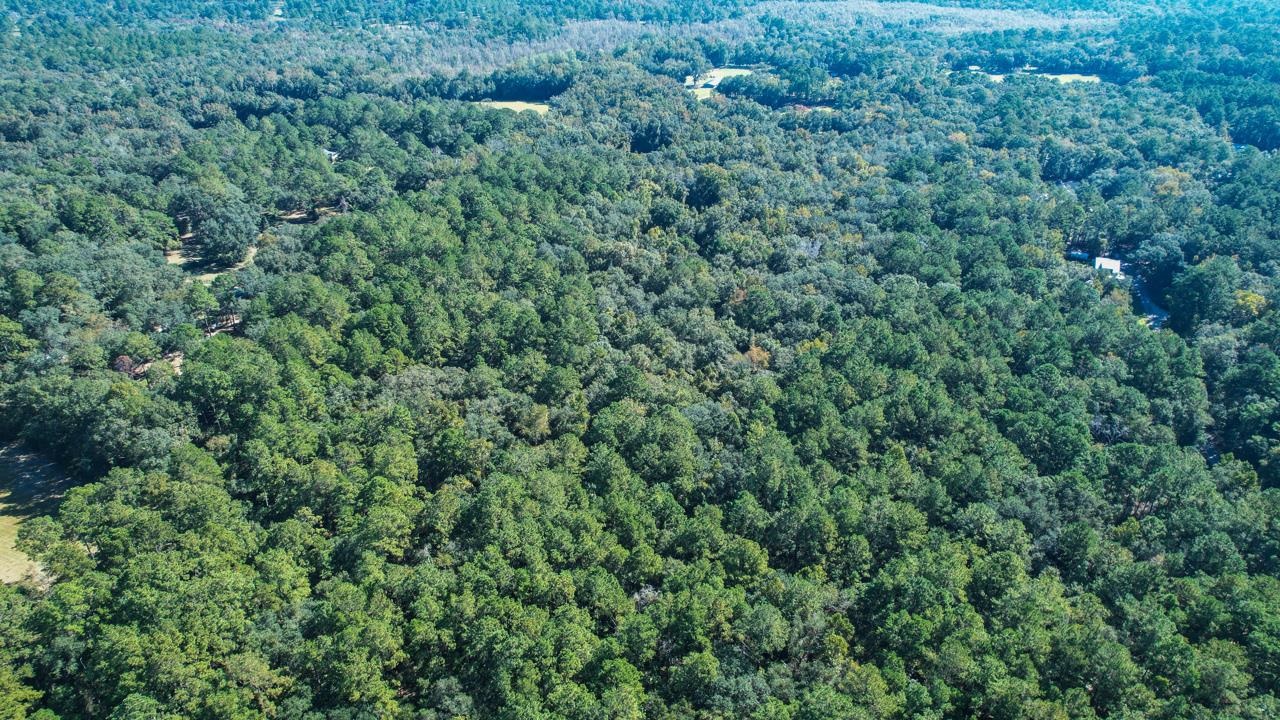 0 Crump Road Tallahassee, FL 32309 - Photo 19 of 30