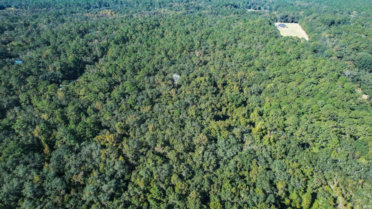 0 Crump Road Tallahassee, FL 32309 - Photo 2 of 30