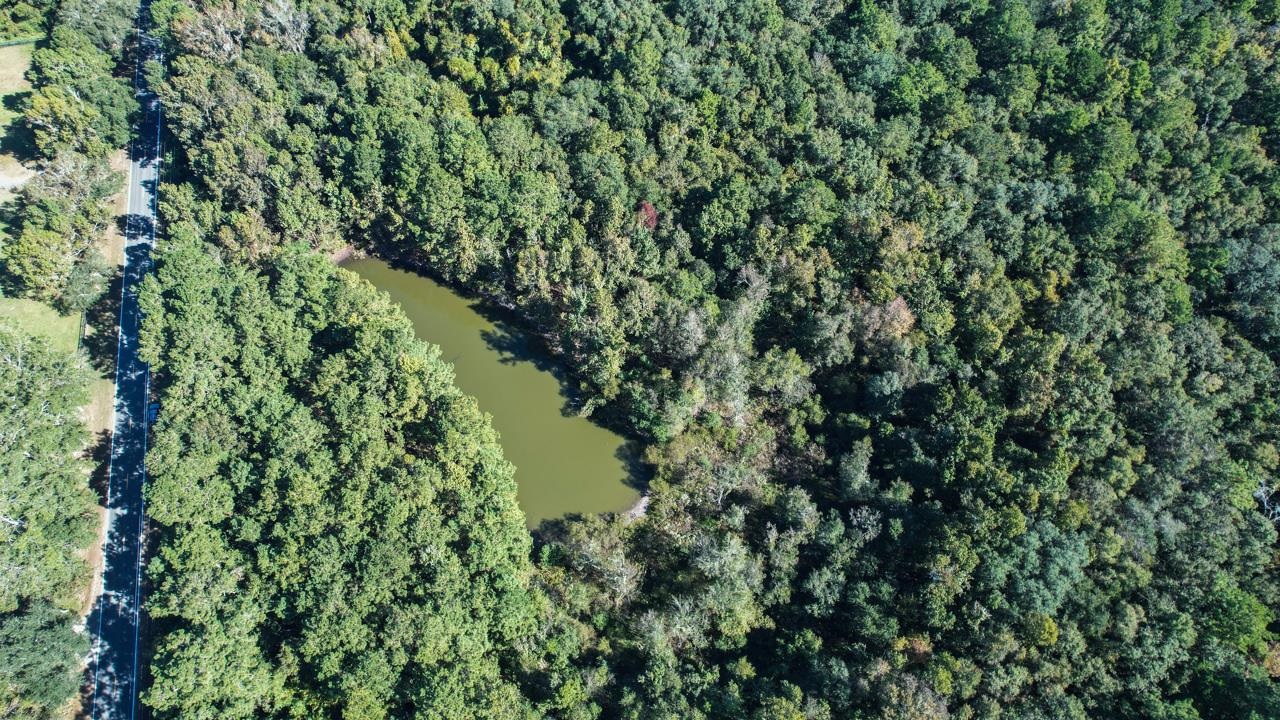 0 Crump Road Tallahassee, FL 32309 - Photo 21 of 30