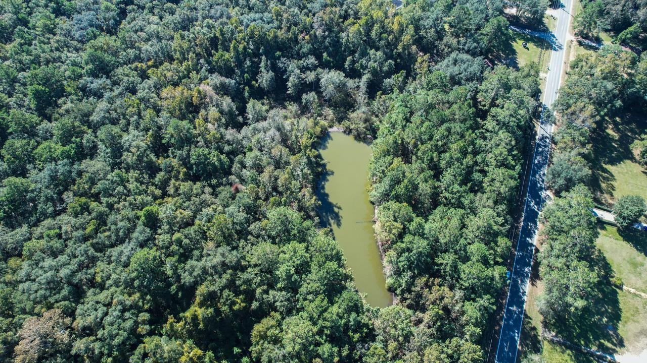0 Crump Road Tallahassee, FL 32309 - Photo 28 of 30
