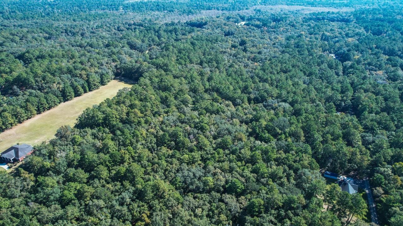 0 Crump Road Tallahassee, FL 32309 - Photo 30 of 30