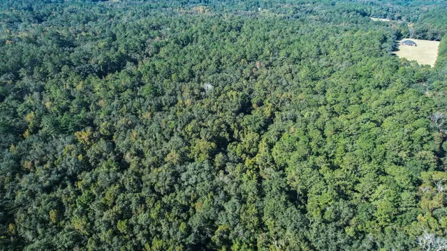 $342,180 | 0 Crump Road, Tallahassee, FL 32309