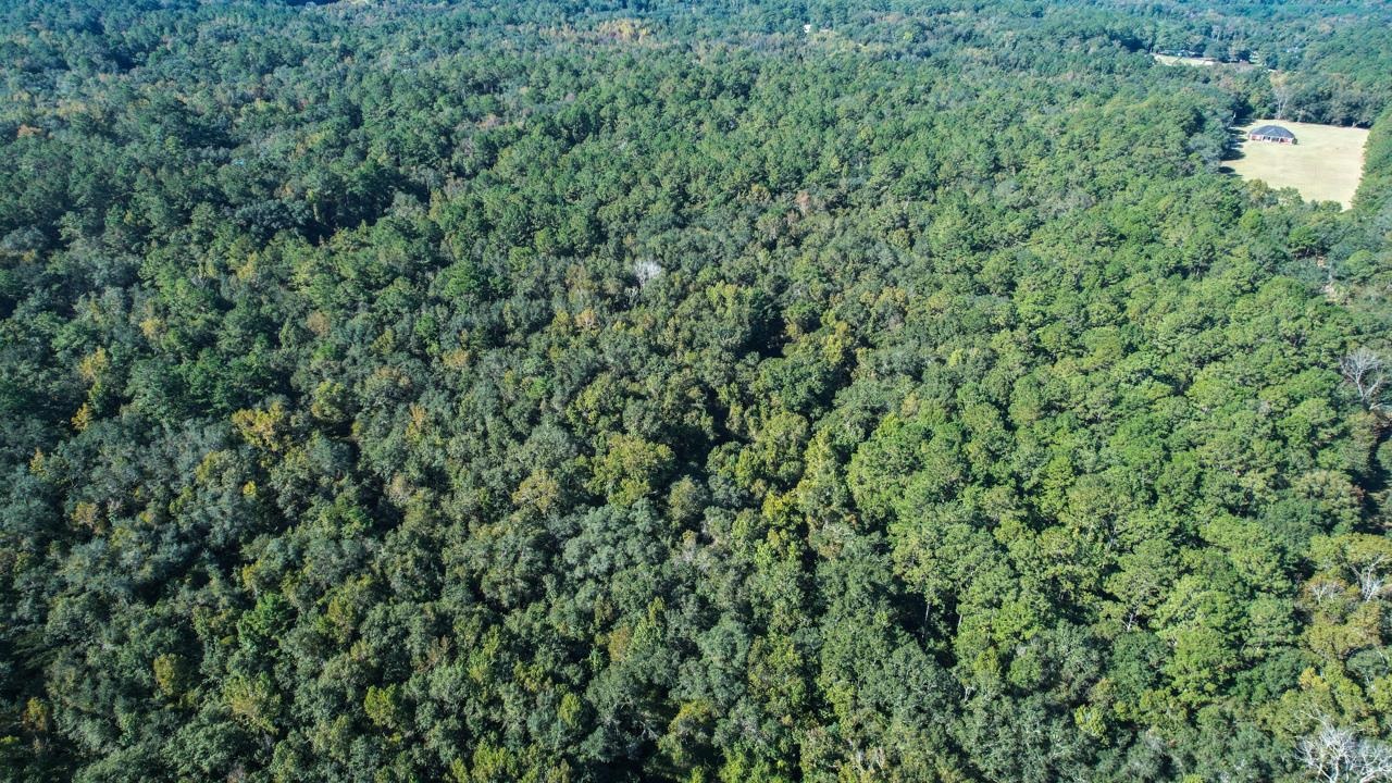 0 Crump Road Tallahassee, FL 32309 - Photo 3 of 30