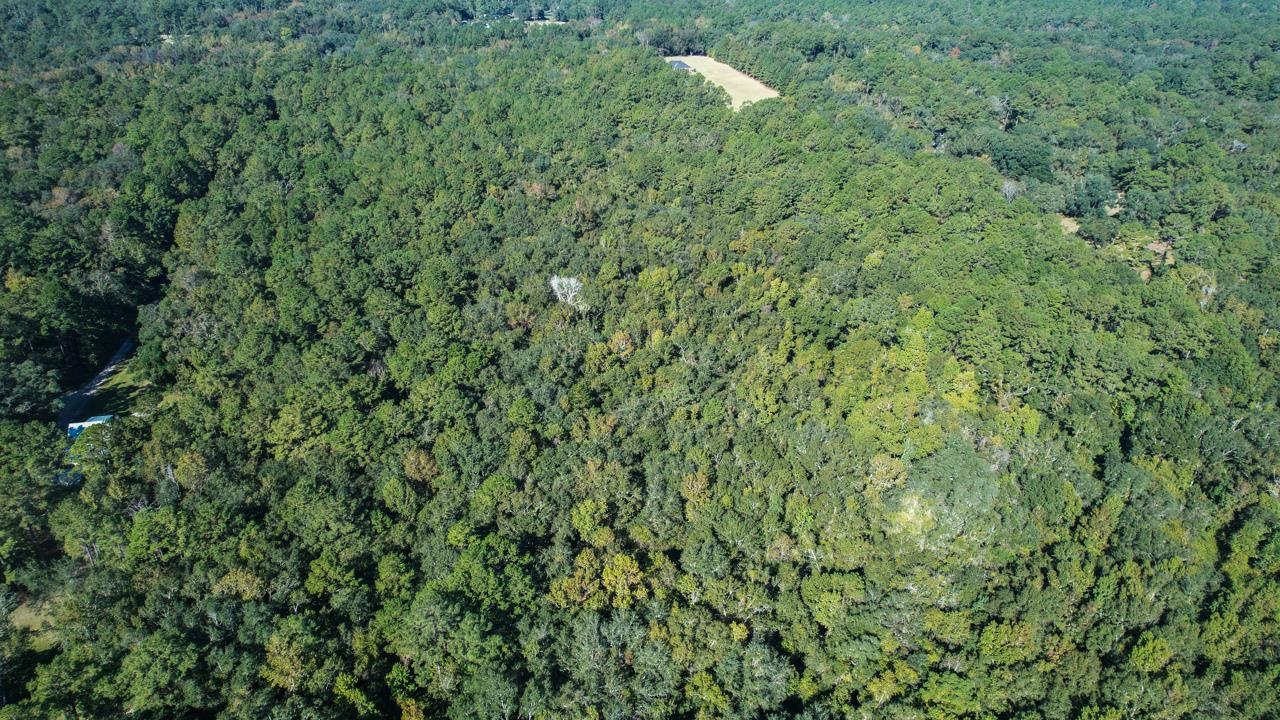 0 Crump Road Tallahassee, FL 32309 - Photo 4 of 30