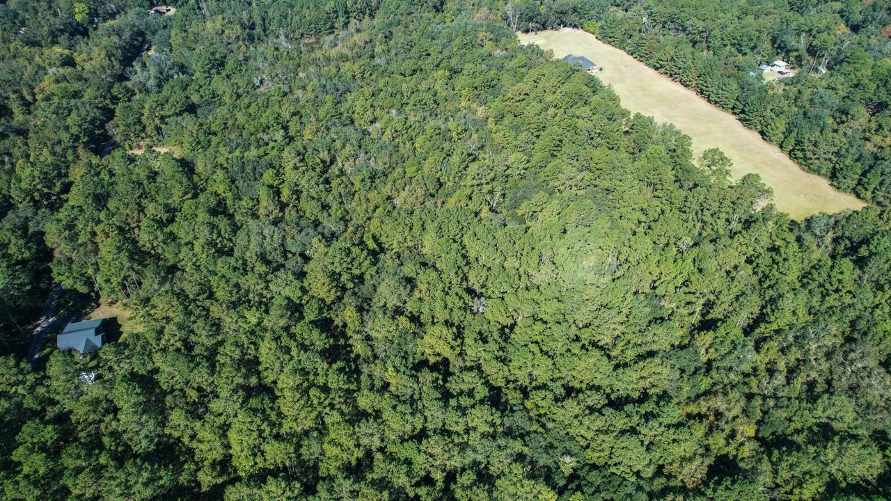 0 Crump Road Tallahassee, FL 32309 - Photo 7 of 30