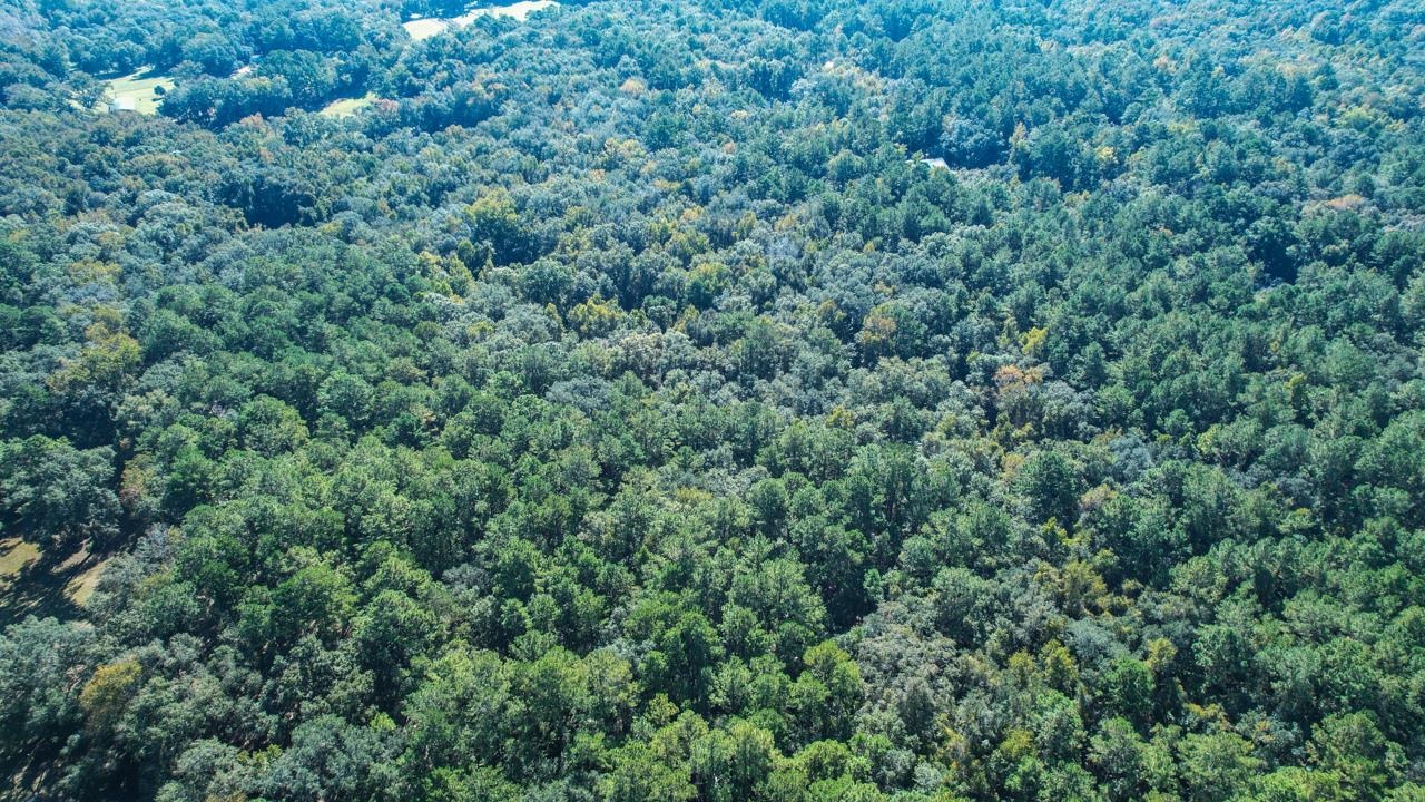 0 Crump Road Tallahassee, FL 32309 - Photo 8 of 30