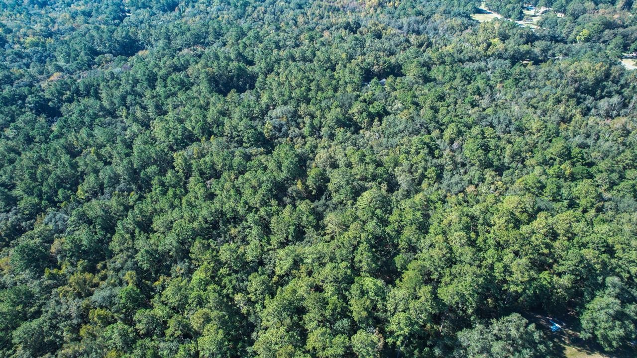 0 Crump Road Tallahassee, FL 32309 - Photo 9 of 30