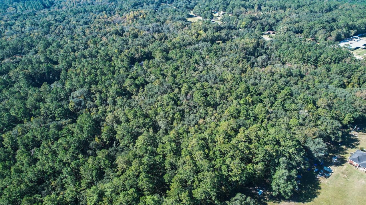 0 Crump Road Tallahassee, FL 32309 - Photo 10 of 30