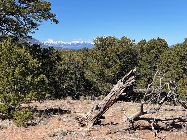 3 B Majors Ranch Road Walsenburg, CO 81089 - Photo 35 of 54