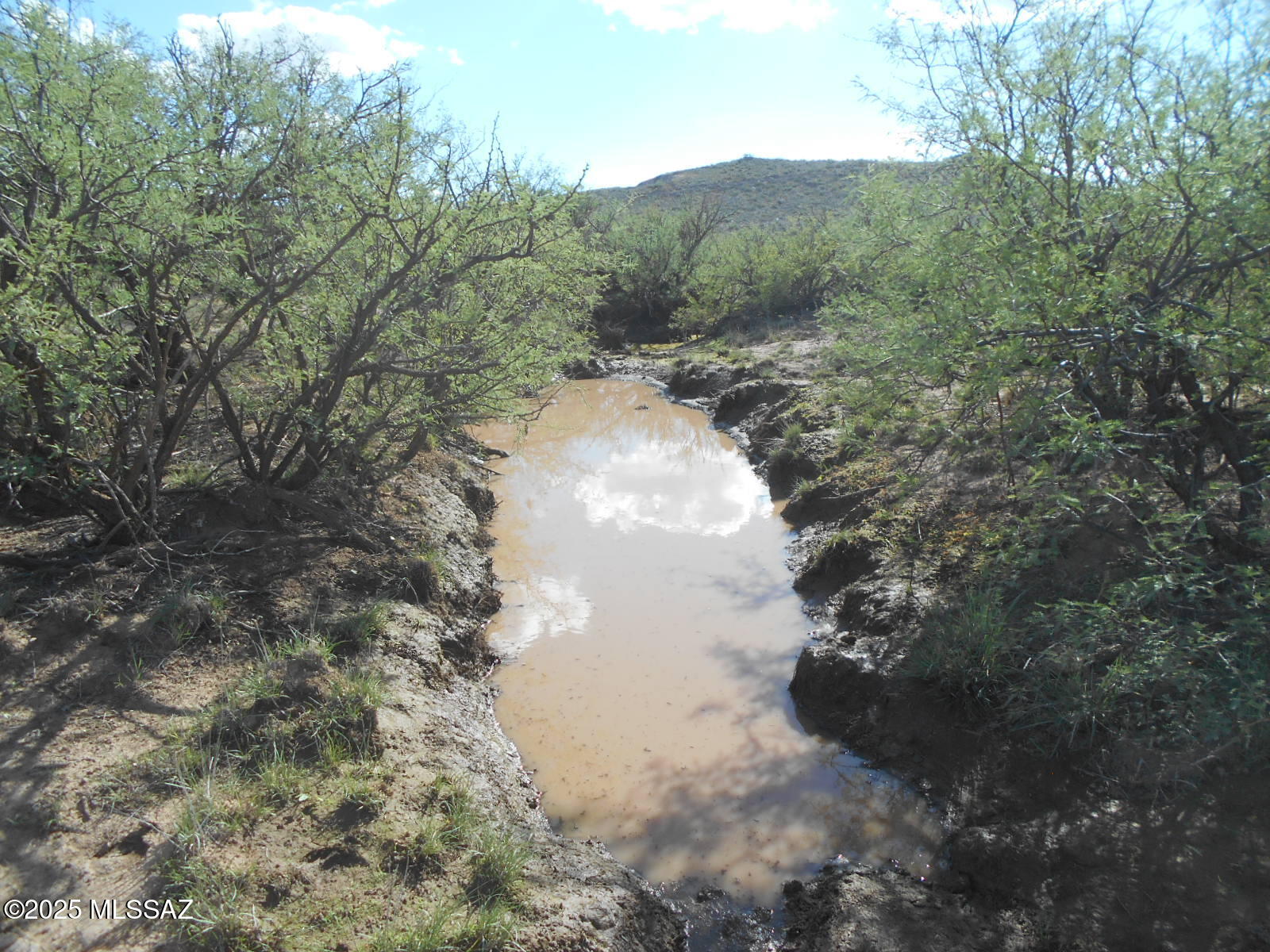 36.8-acres West Old Stewart Road, Unit 53 Willcox, AZ 85643 - Photo 13 of 42