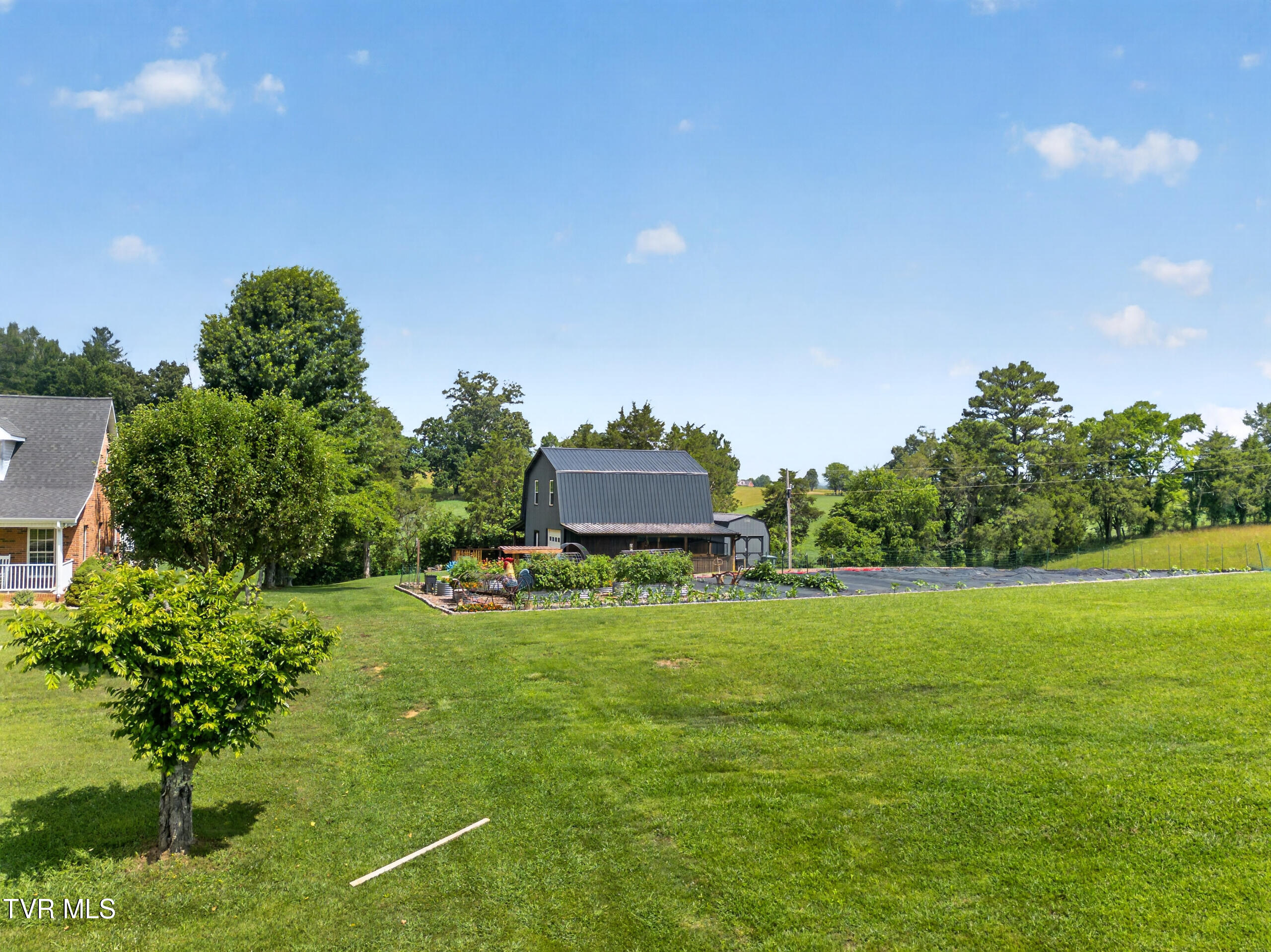 835 John Bird Road Afton, TN 37616 - Photo 12 of 158 DJI_0138