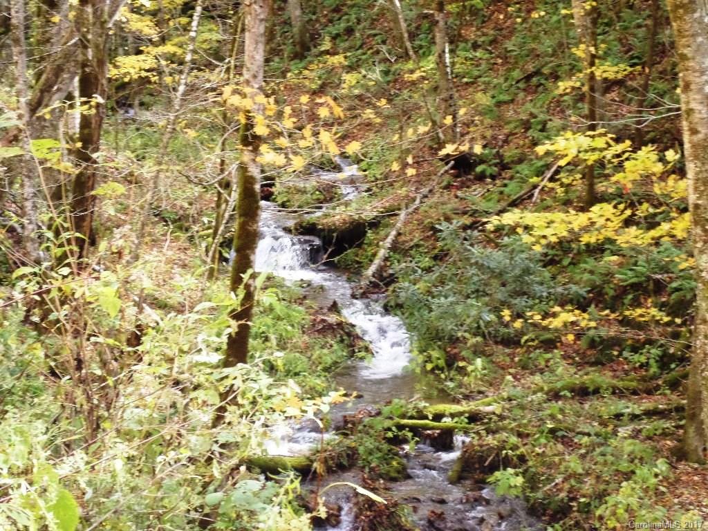 49 Hornbuckle Road, Unit 49 Maggie Valley, NC 28751 - Photo 2 of 24 Gallery Image 2