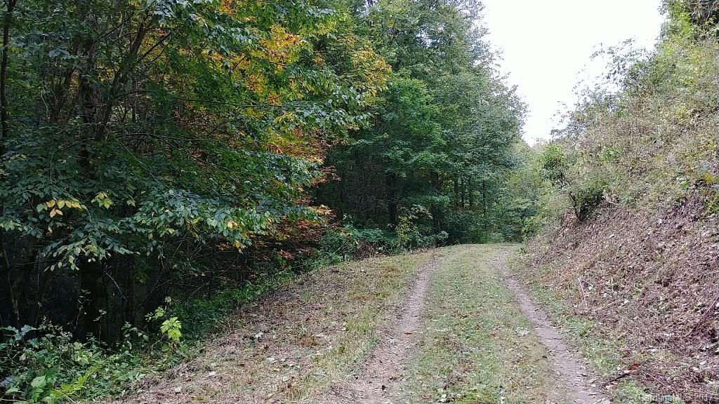 49 Hornbuckle Road, Unit 49 Maggie Valley, NC 28751 - Photo 14 of 24 Gallery Image 14