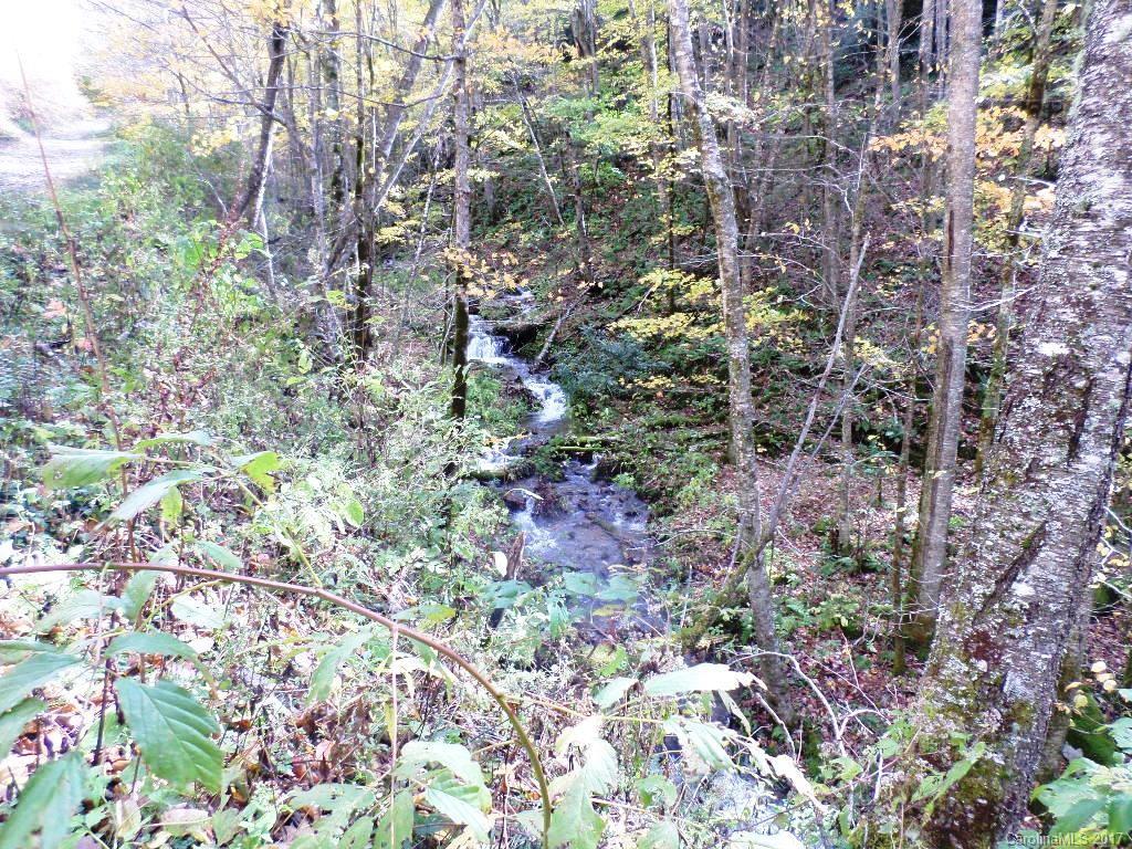 49 Hornbuckle Road, Unit 49 Maggie Valley, NC 28751 - Photo 24 of 24 Gallery Image 24