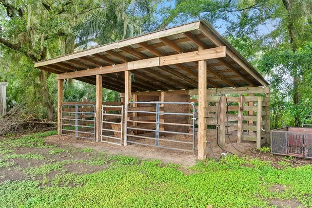 a view of a house with a small yard and a large tree