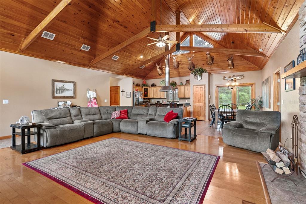 12136 McIntosh Road Thonotosassa, FL 33592 - Photo 8 of 44 a living room with furniture and a rug