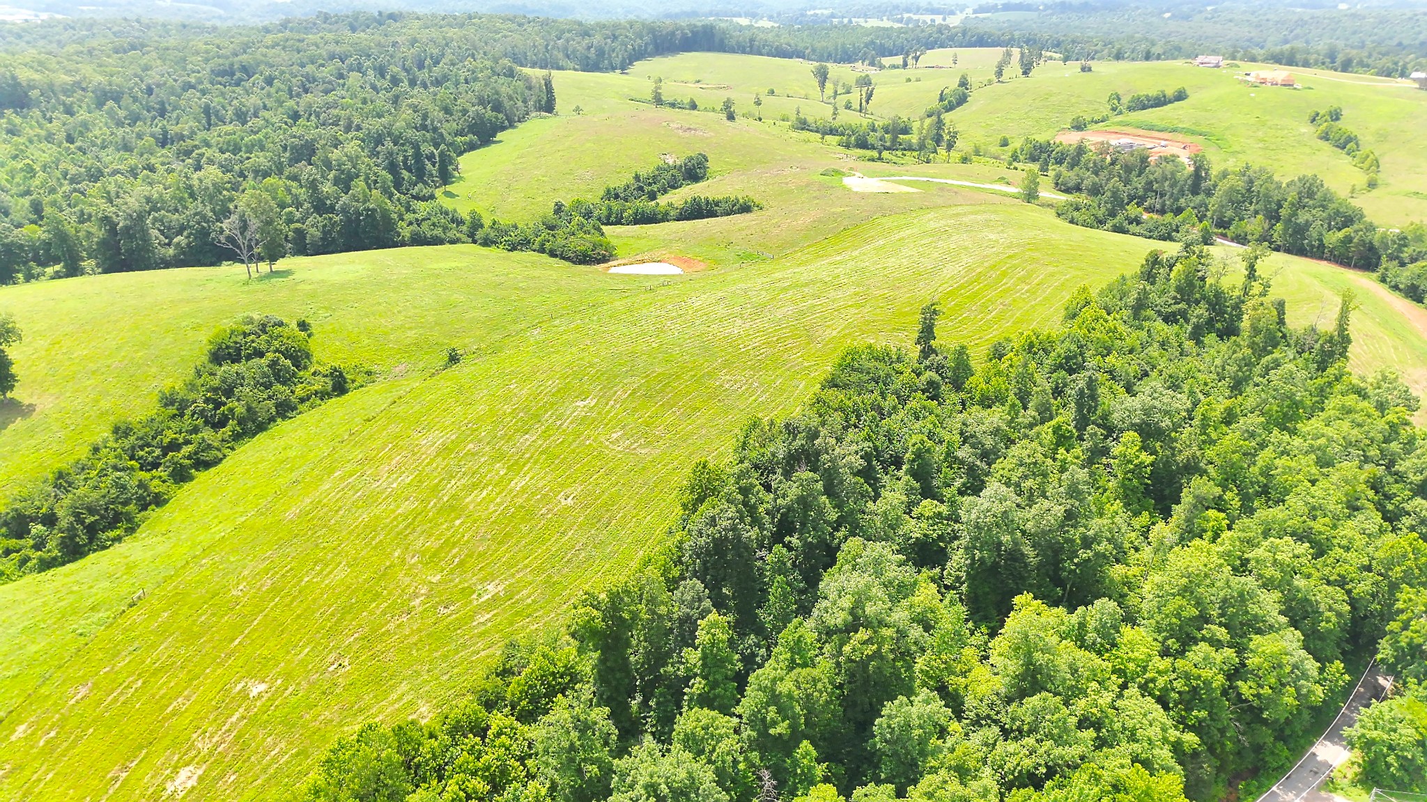 0 Brigham Branch Road Erin, TN 37061 - Photo 3 of 16 Gallery Image 3