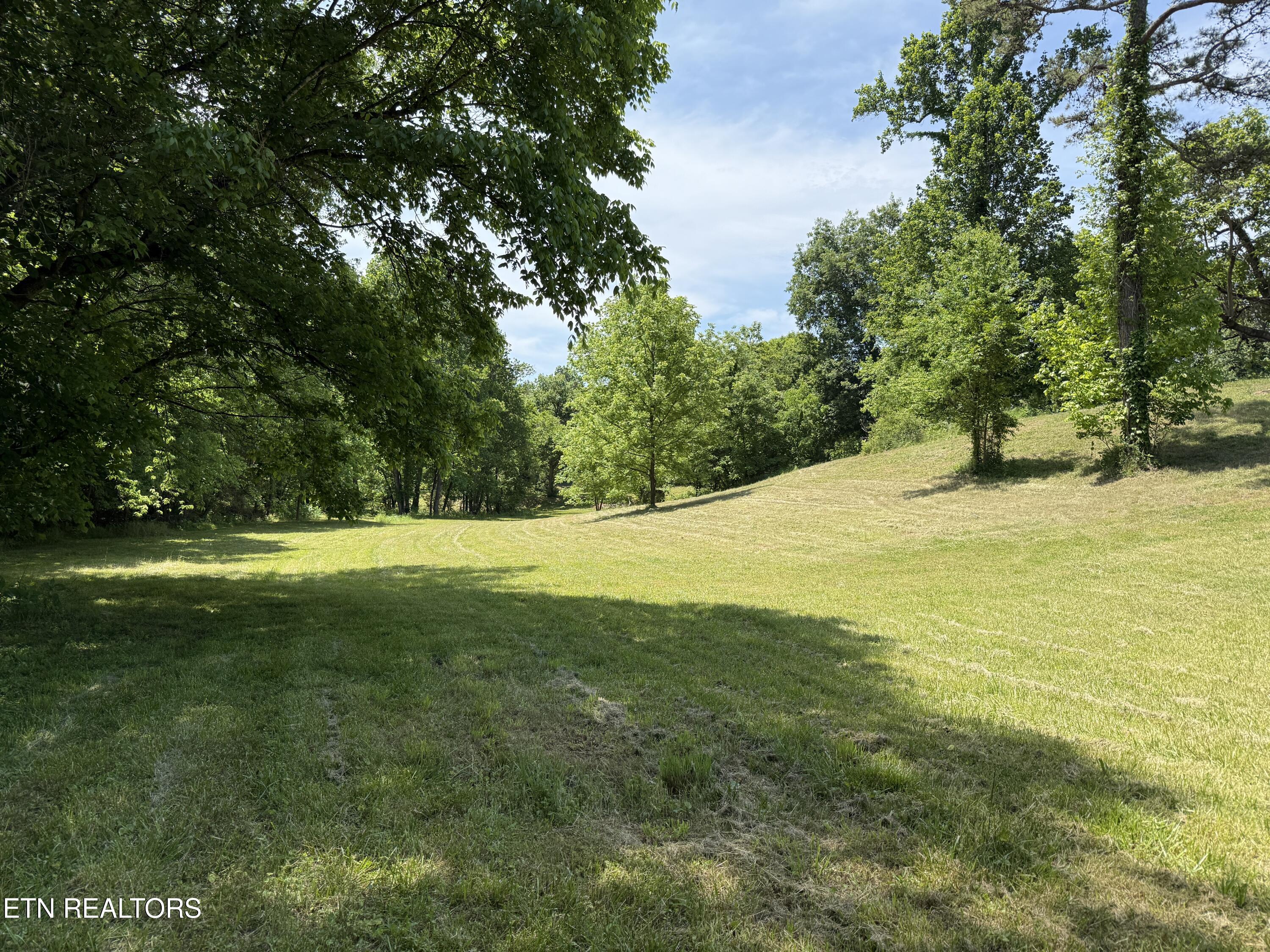 Richland Road Blaine, TN 37709 - Photo 3 of 25 IMG_5447
