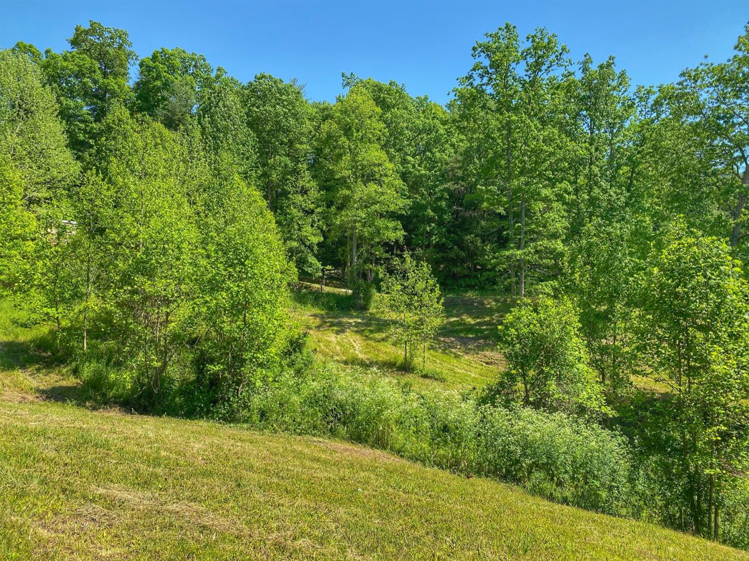 2 Harvest Ridge Road Campton, KY 41301 - Photo 7 of 12 Photo 8