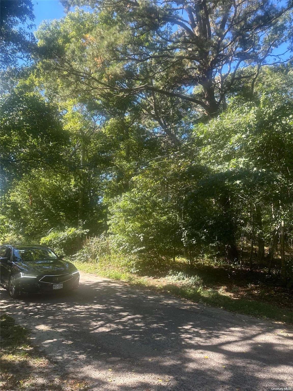 8 Shell Road Hampton Bays, NY 11946 - Photo 3 of 5 a view of yard