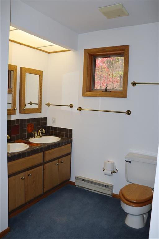 232 Red Arrow Road Ligonier, PA 15658 - Photo 35 of 47 a bathroom with a toilet sink and mirror