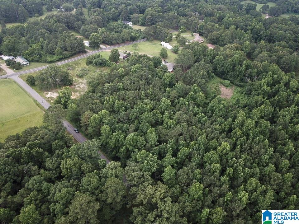 5041 Bryson Road, Unit NA 5041 Dora, AL 35062 - Photo 4 of 8