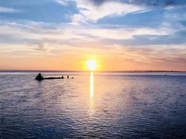 $898,862 | 2028 County Road 201, Sargent, TX 77414