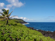 40 Beach Road Pahoa, HI 96778 - Photo 2 of 2 Gallery Image 2