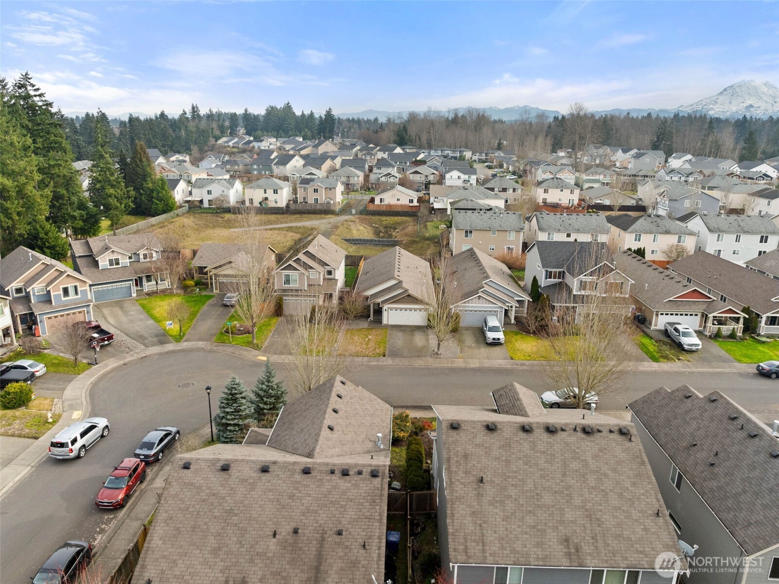 20009 96th Avenue East Graham, WA 98338 - Photo 33 of 40 an aerial view of residential houses with outdoor space