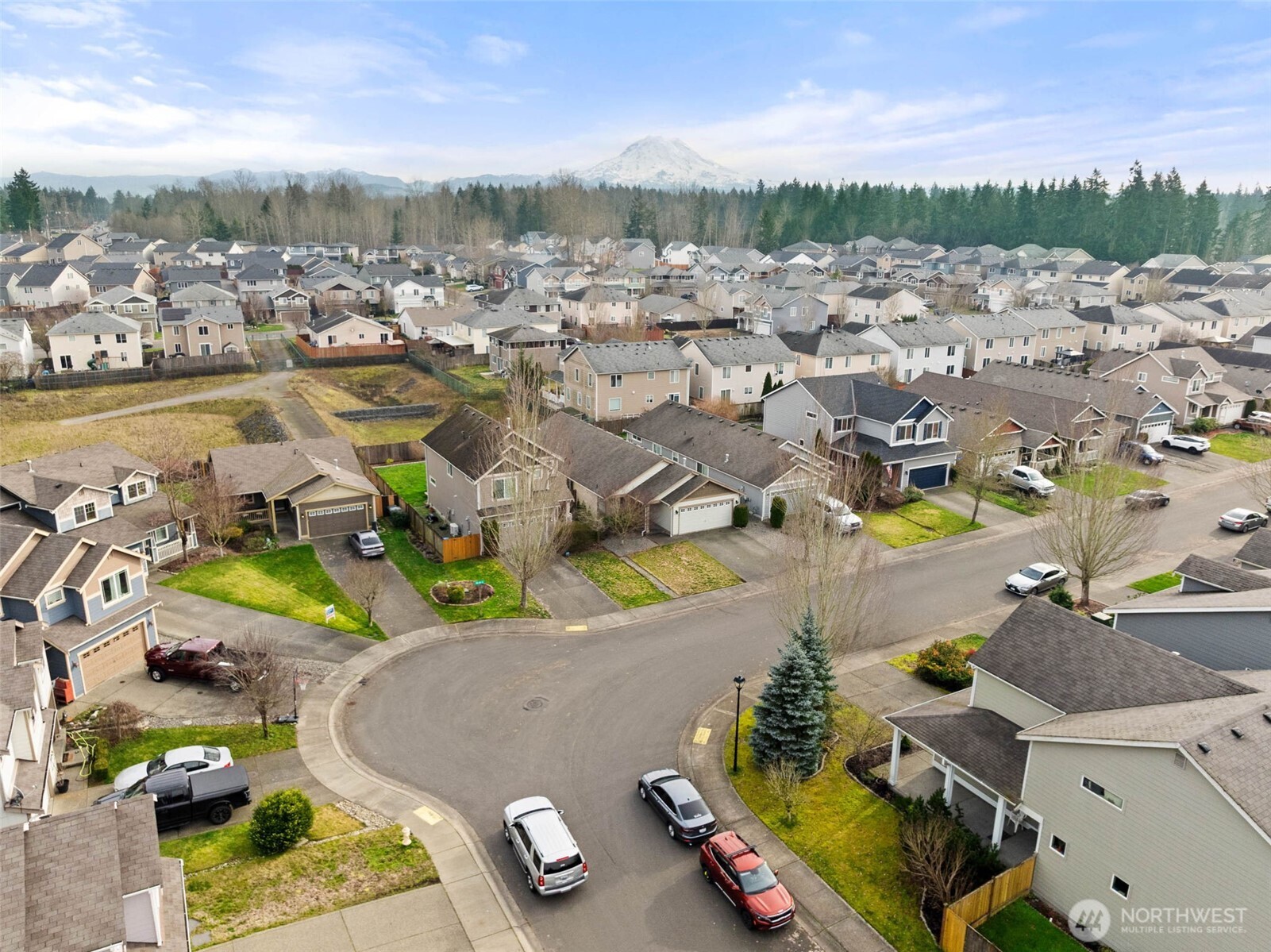 20009 96th Avenue East Graham, WA 98338 - Photo 34 of 40 an aerial view of residential houses with outdoor space