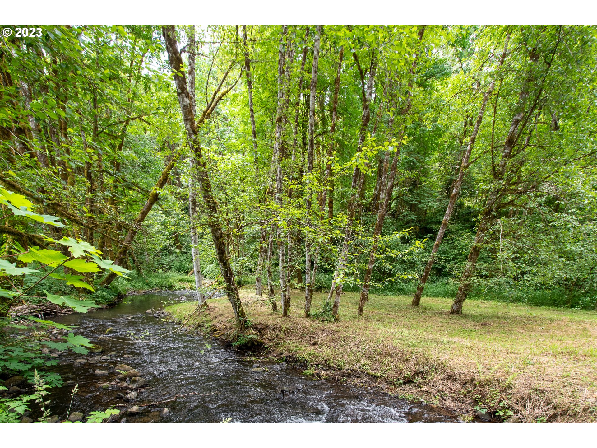 29210 Dutch Canyon Road Scappoose, OR 97056 - Photo 41 of 47 Gallery Image 41