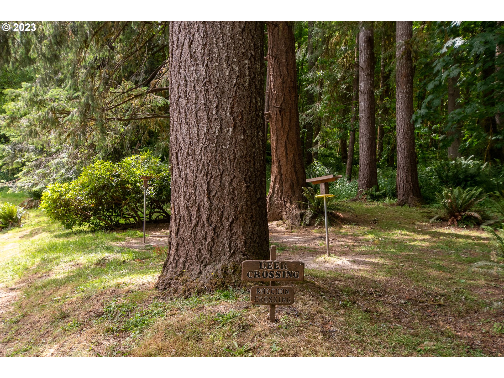 29210 Dutch Canyon Road Scappoose, OR 97056 - Photo 42 of 47 Gallery Image 42