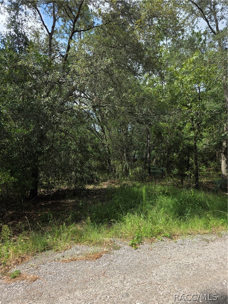 3211 East Millside Lane Inverness, FL 34453 - Photo 5 of 20