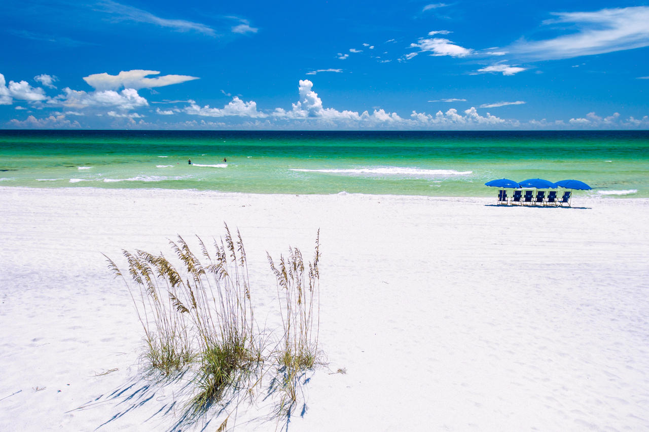 119 Chivas Lane Santa Rosa Beach, FL 32459 - Photo 15 of 100 Gallery Image 15