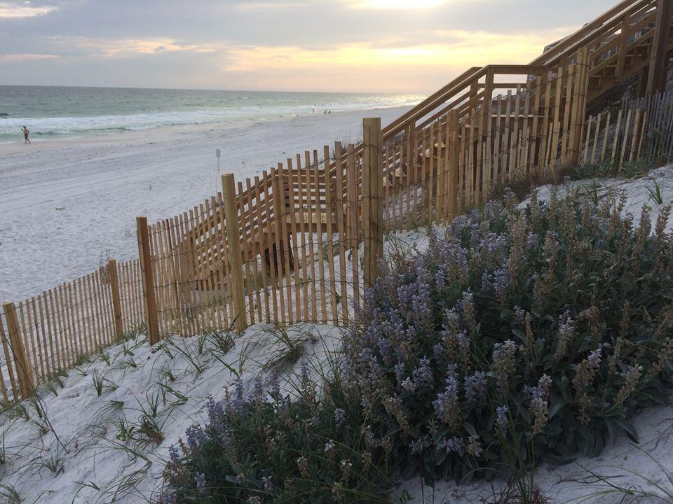 119 Chivas Lane Santa Rosa Beach, FL 32459 - Photo 64 of 100 Gallery Image 64