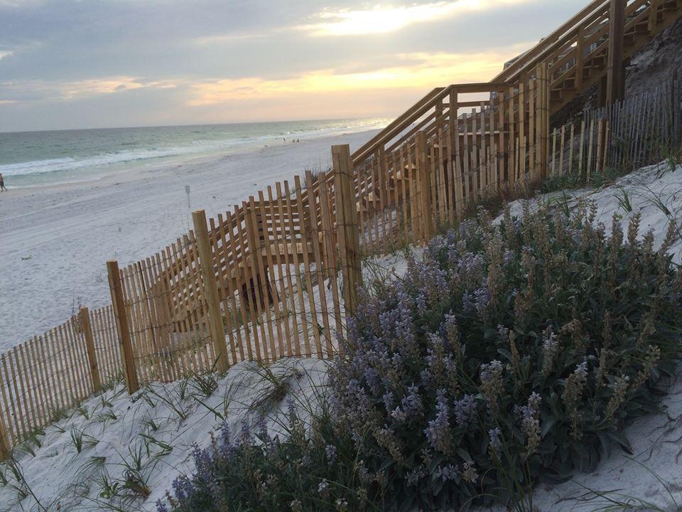 119 Chivas Lane Santa Rosa Beach, FL 32459 - Photo 65 of 100 Gallery Image 65